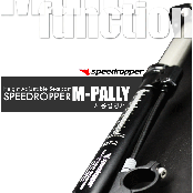 Adjustable Seatpost  27.2  30.9  31.6