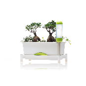 Smart Grow