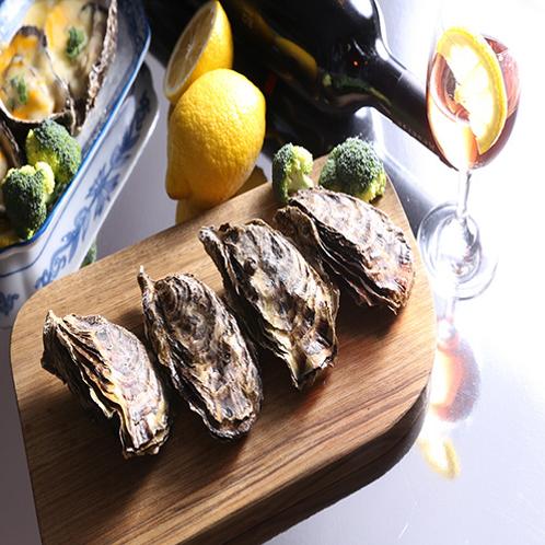 Giant mud flat pacific oysters