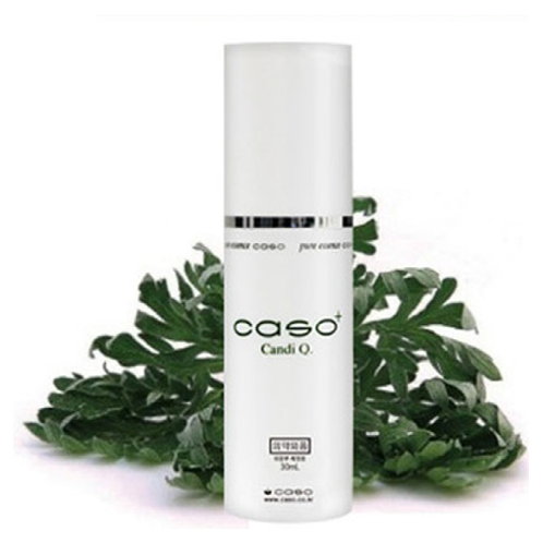 CASO CandiQ Plus