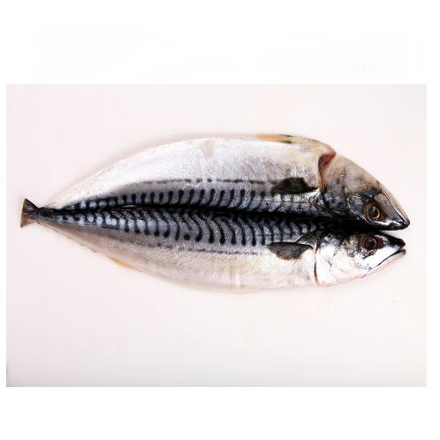 Hwanggi-Hamcho salted mackerel