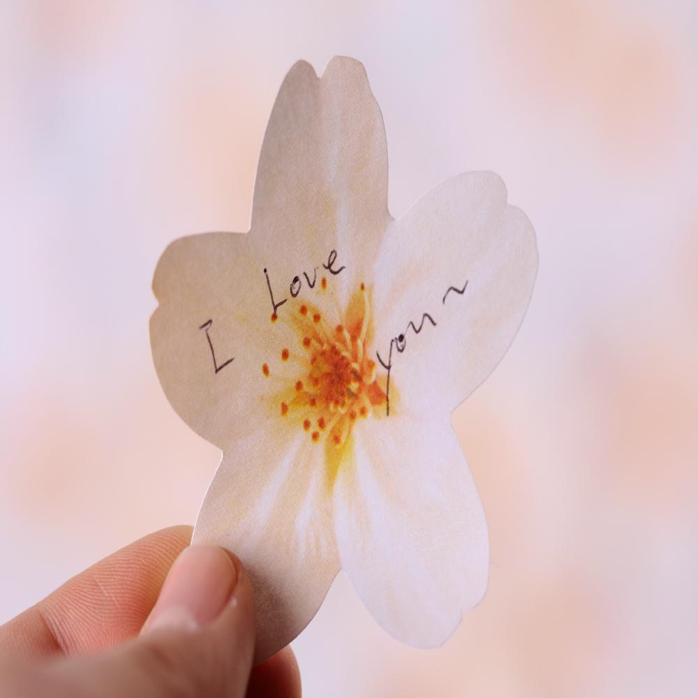 Sticky Leaf - cherry blossom