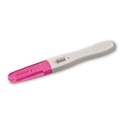 Early Sign Pregnancy Test