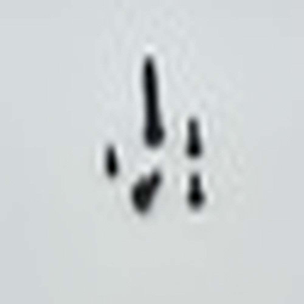 OEM Automotive customizing speical stainless steel rivet