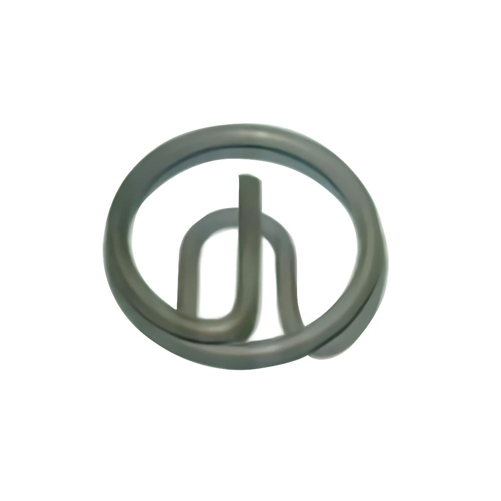 Flexible valve & Exhaust system application Spring