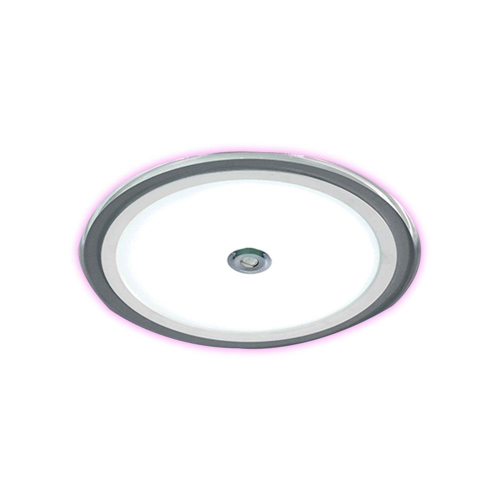 DAYTIME D-SENSOR (Designer's Collection Sensor)