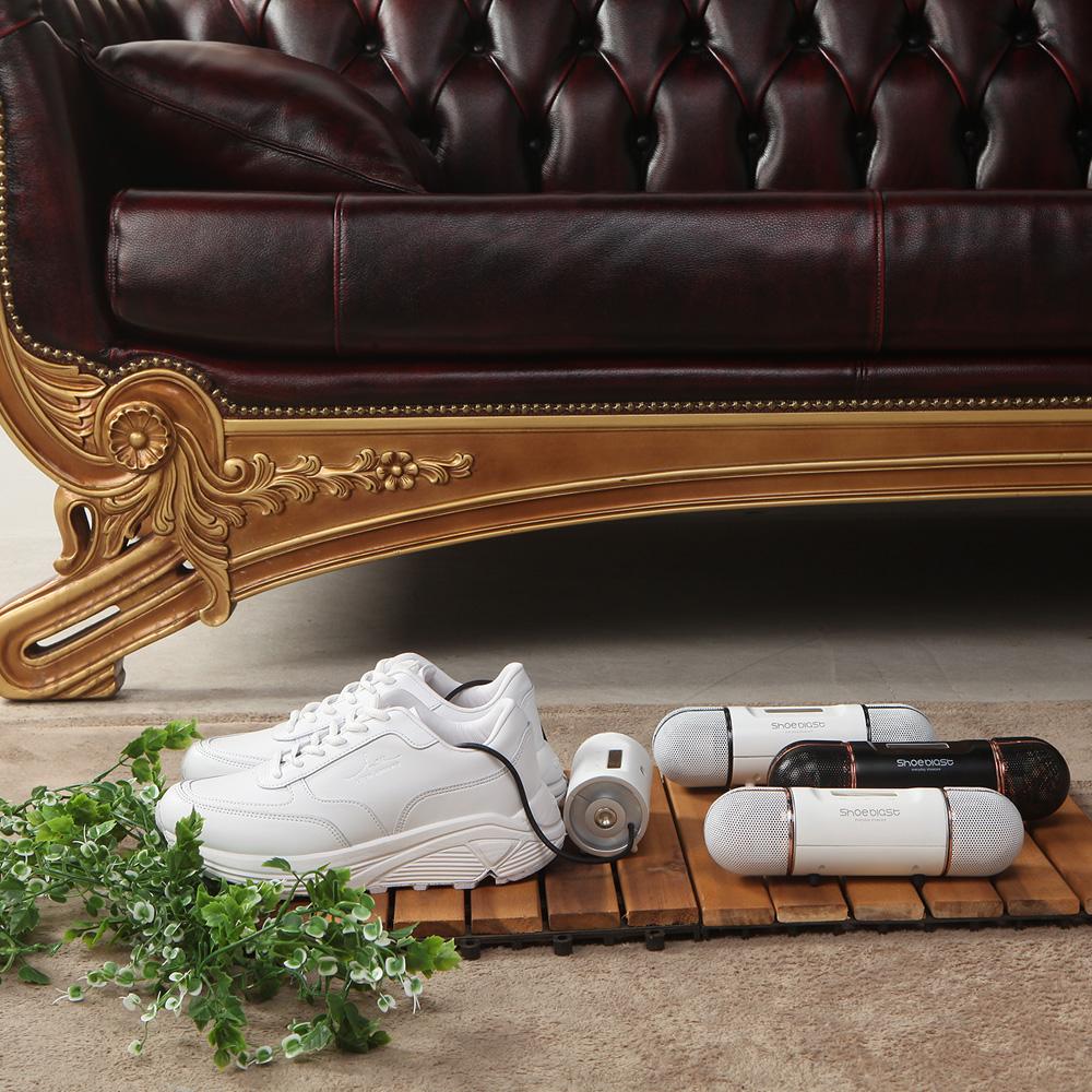 SmartreumbangE Shoe Blast lasts for 1 hour  (Size : 220 x 58 x 58mm Weight : 400g)