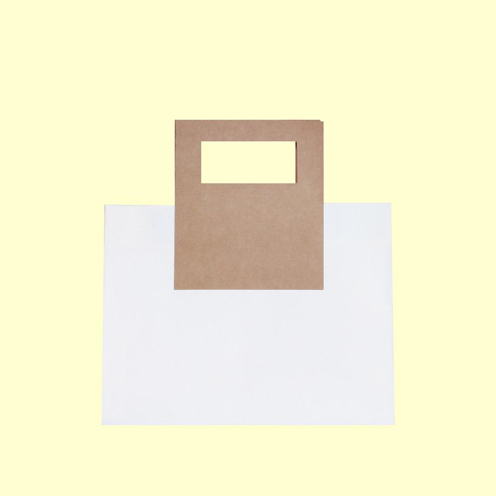 Premium Square Handle Gift Bag