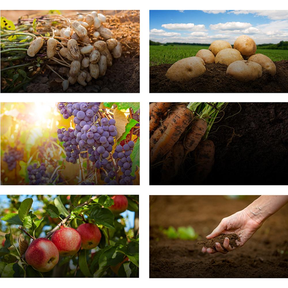 Tovita Alpha Mixed Organic Substance (TOVITA ALPHA)