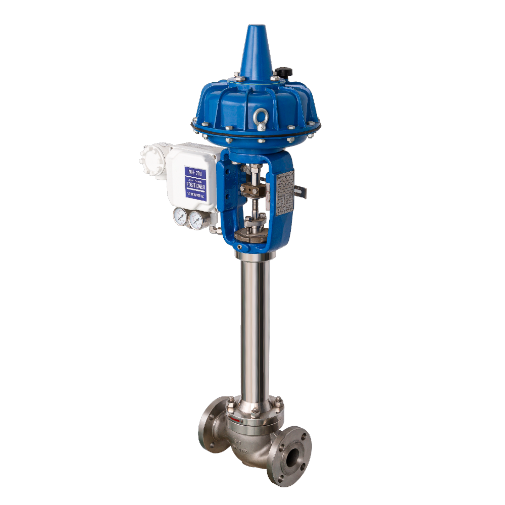 Control Globe Valve