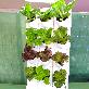 detail image1 STACKO-POT (Vertical farm)