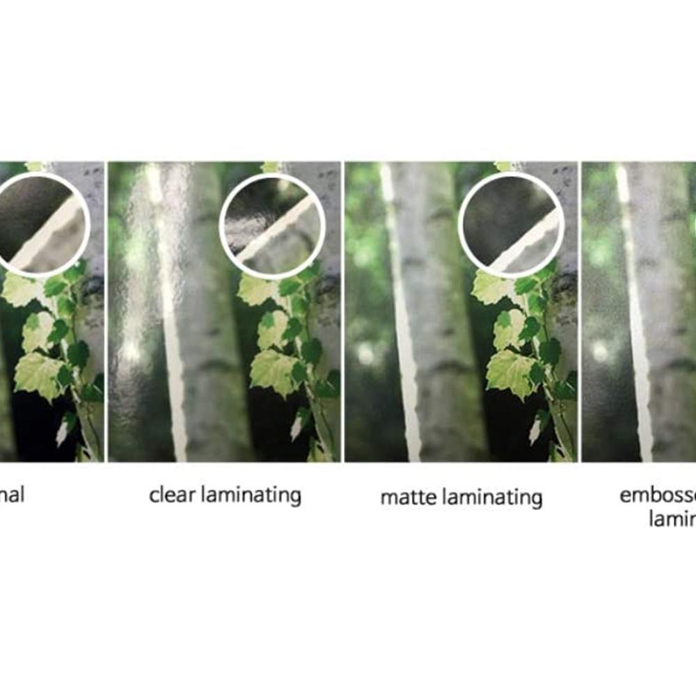 ANYSHEET Laminating Film A4 (100ct) for documents, Photos, Books, Clear Coating Embossed Matte