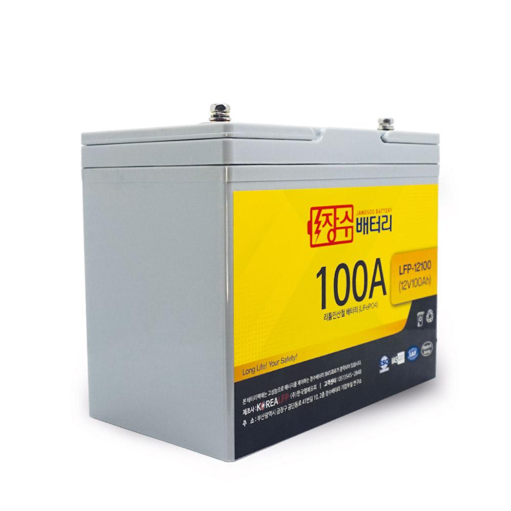 LiFePO4(LFP) battery (LFP-12100)
