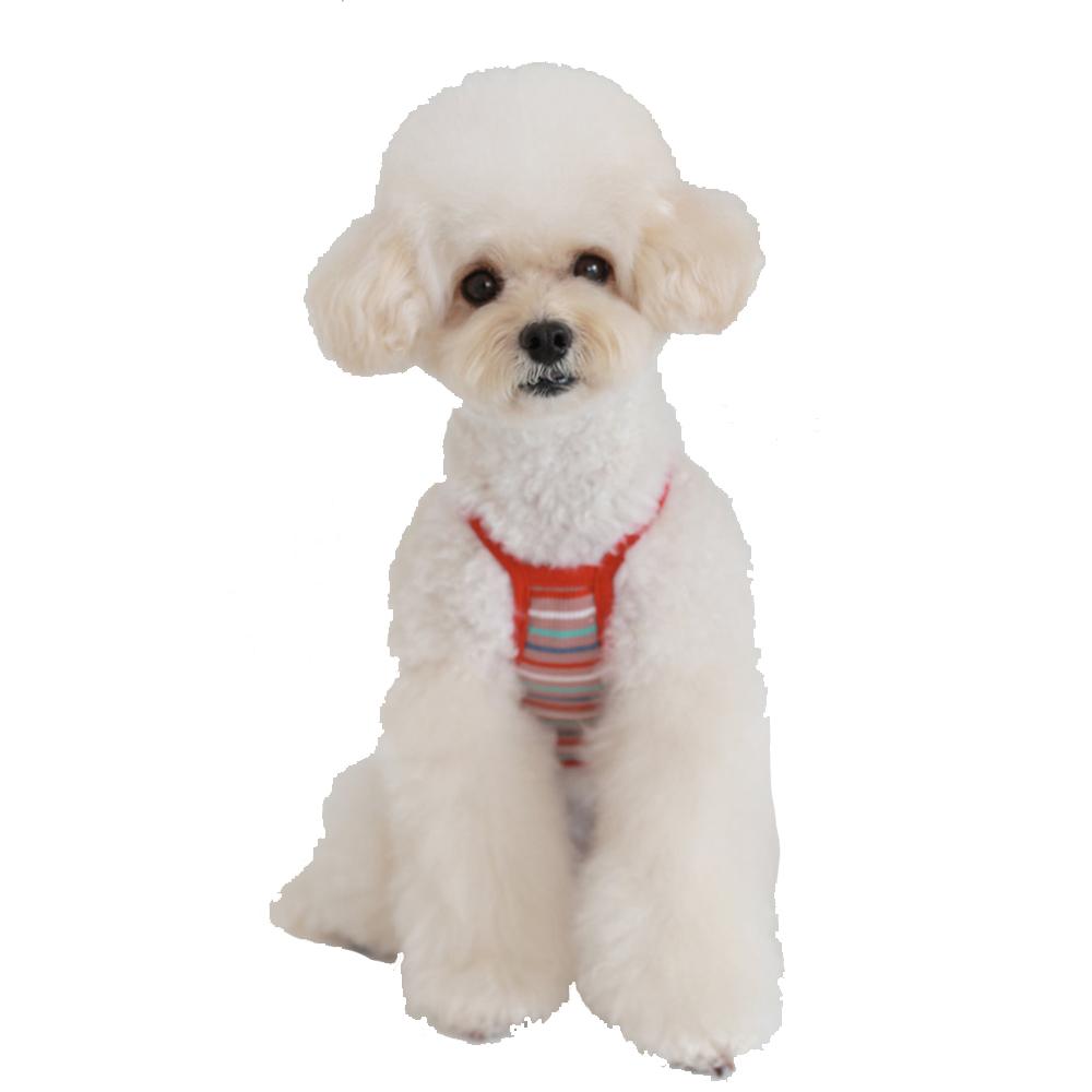 Rainbow Stripe Crop Sleeveless (Red/XL)