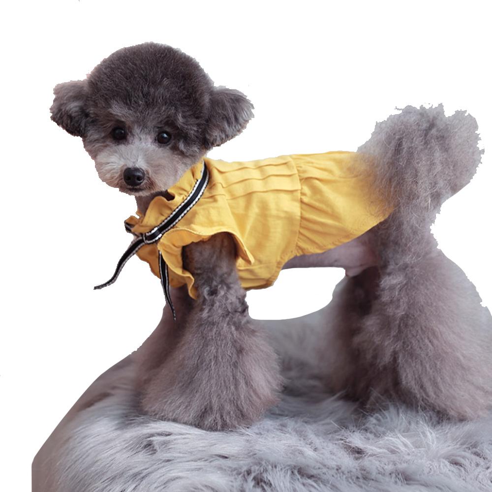 Tint Frill blouses (Yellow / XL size)