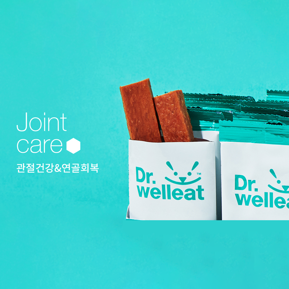 Dog joint care nutritional snack Nutritional snacks to prevent joint health and dislocation of the p