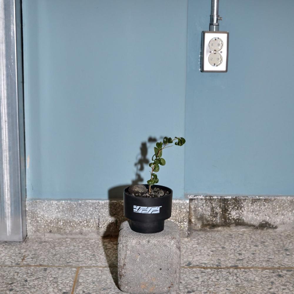 Pot Copenhagen Midnight