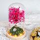 detail image1 LED Pink Fog Glass Dome Mood Light Lovely Color