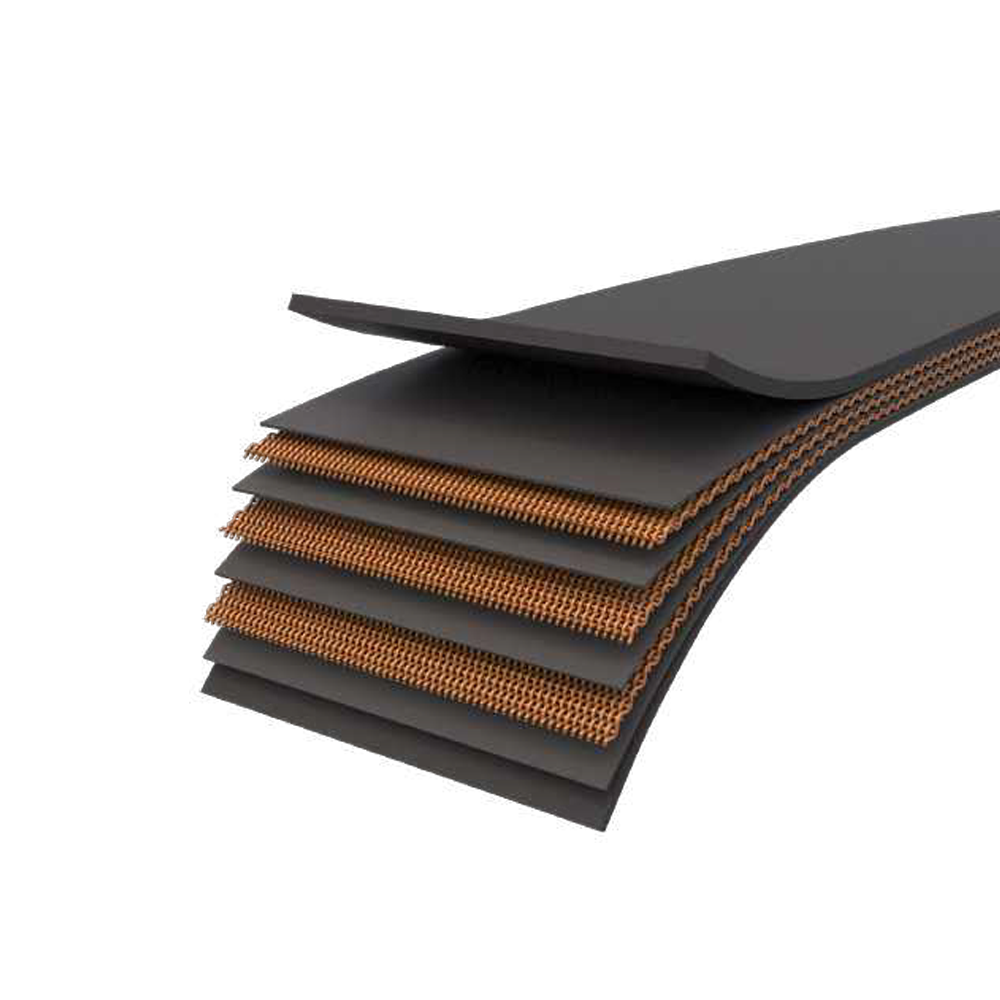 Conveyor Belt - MJ TSR