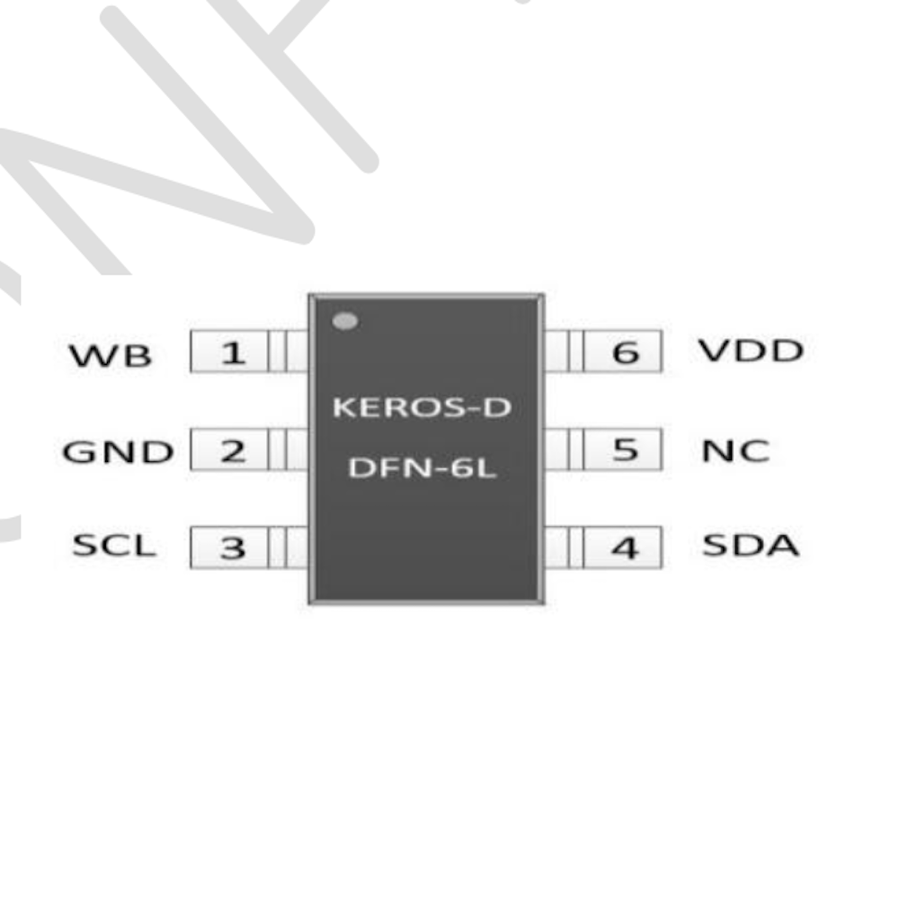 semiconductor security chip (IC)